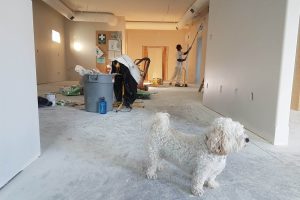 Jangan Dulu Renovasi Rumah 2 Lantai Sebelum Terapkan 6 Tips Ini